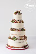 vierstöckiger Semi Naked Cake, dekoriert mit Zimtstangen, Cranberries, Sukkulenten und Zapfen, Weihnachtstorte