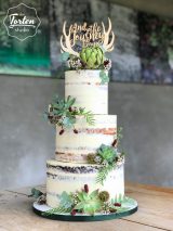 Dreistöckiger Semi Naked Cake, dekoriert mit Sukkulenten und anderen grünen Pflanzen